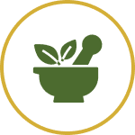 Seasonal Herbs & Botanicals